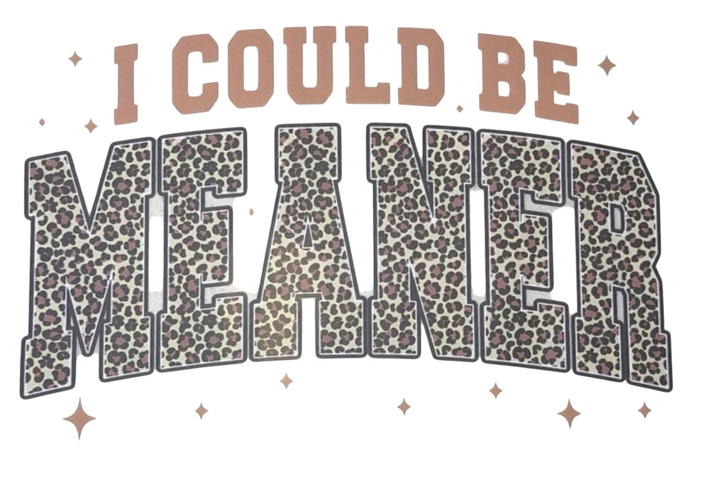 I Could Be Meaner Adult DTF Transfer